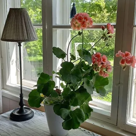 Loma Tai Perhejuhlat Bobackan Pihatorpassa Сasa de vacaciones *