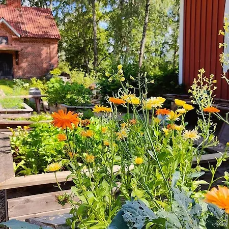 Loma Tai Perhejuhlat Bobackan Pihatorpassa Hameenlinna