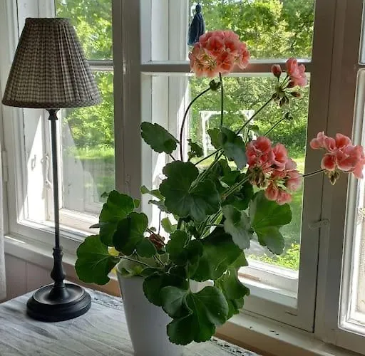 Loma Tai Perhejuhlat Bobackan Pihatorpassa بيت للعطل *