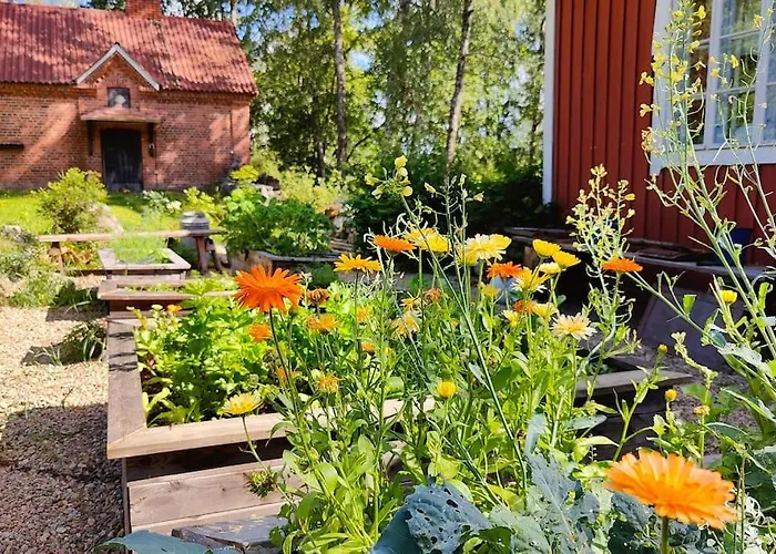 Loma Tai Perhejuhlat Bobackan Pihatorpassa Hämeenlinna