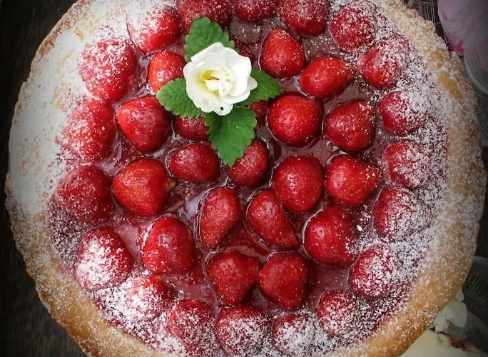 Loma Tai Perhejuhlat Bobackan Pihatorpassa *